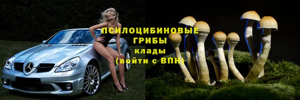 спайс Алексеевка